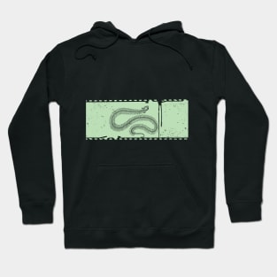 skeleton snake Hoodie